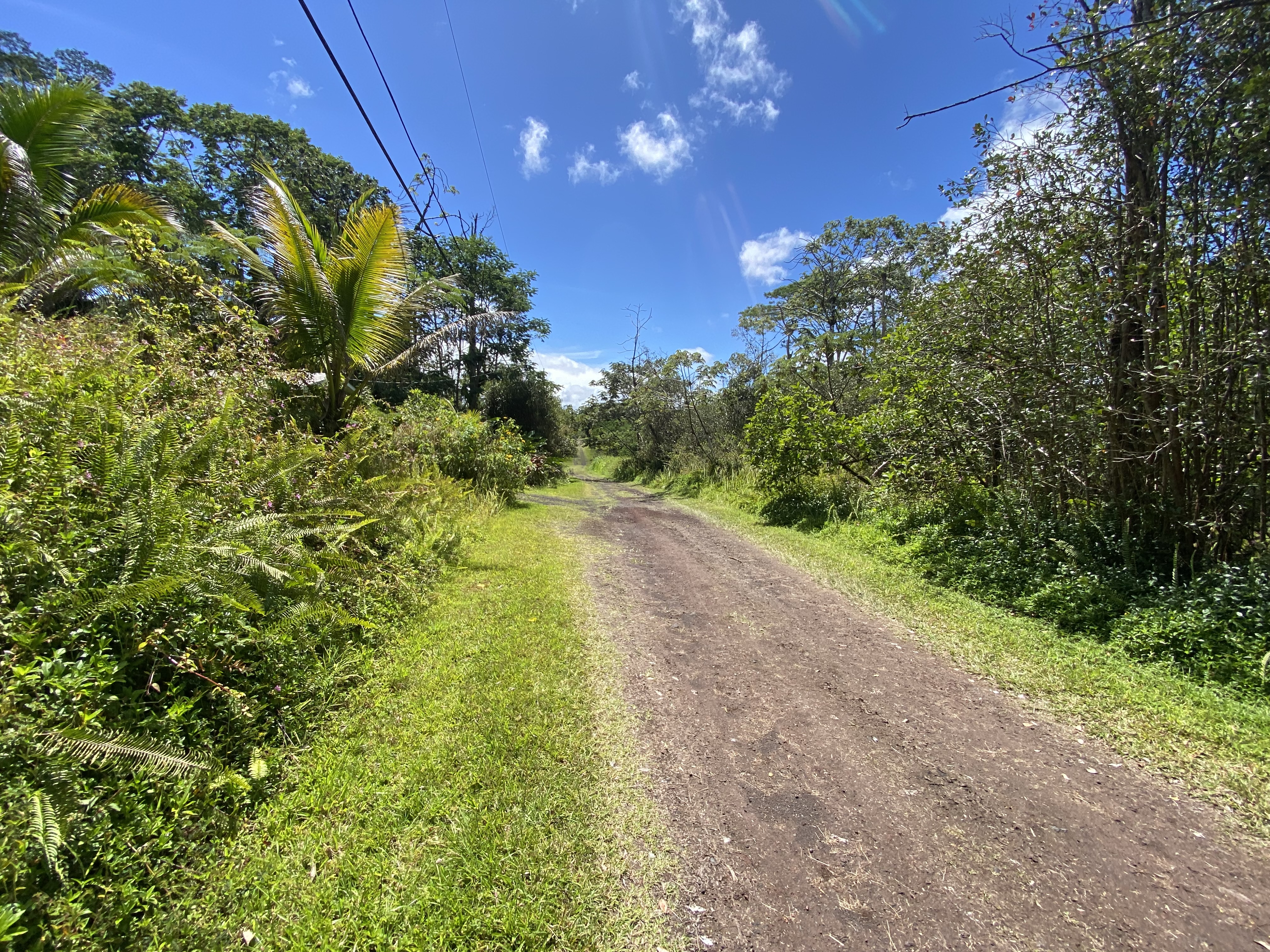 471 Seadrift Road Pahoa, HI 96778 - Photo 3 of 7 Gallery Image 3
