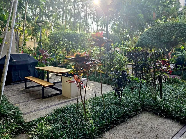 a view of a bench in the garden