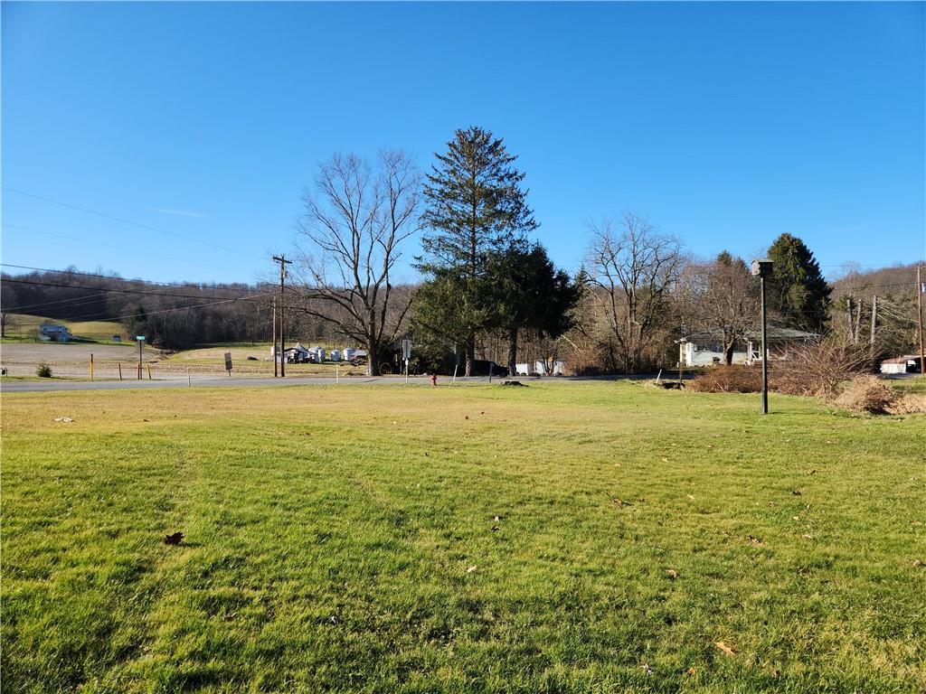 1681 Shady Plain Road Apollo, PA 15613 - Photo 19 of 25 a view of yard with swimming pool and trees