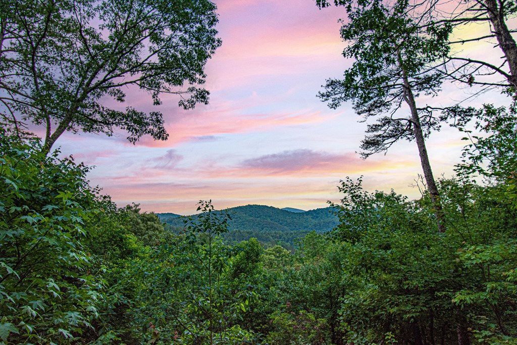 20 Dean Court Blue Ridge, GA 30513 - Photo 4 of 53 a view of a sky