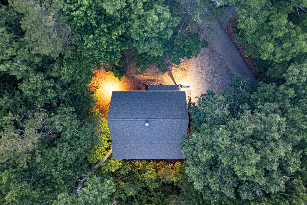 20 Dean Court Blue Ridge, GA 30513 - Photo 53 of 53 an aerial view of a house