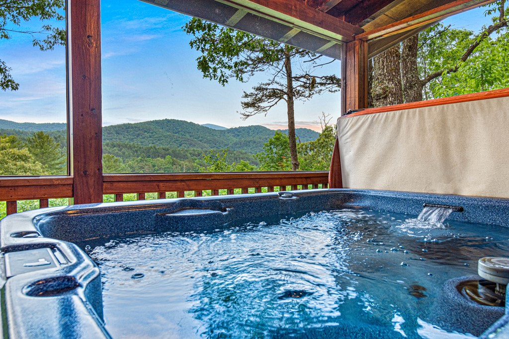 20 Dean Court Blue Ridge, GA 30513 - Photo 6 of 53 a view of a back yard from a balcony