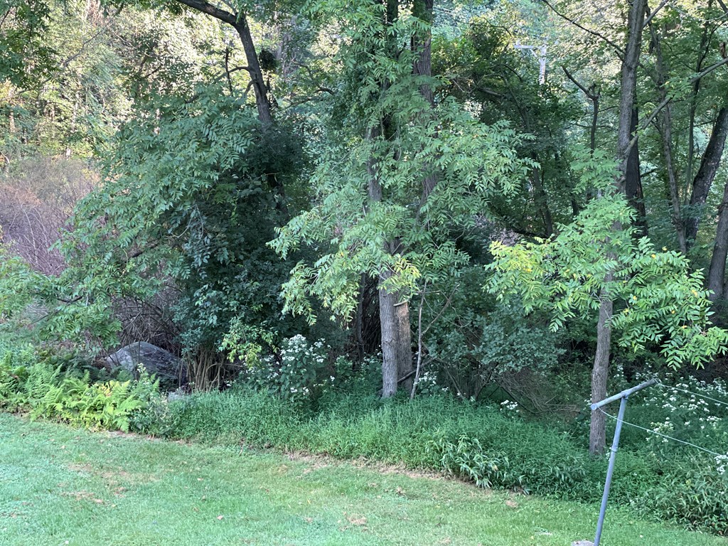 983 Lawsonham Road Rimersburg, PA 16248 - Photo 22 of 51 view of a lush green forest with lots of trees