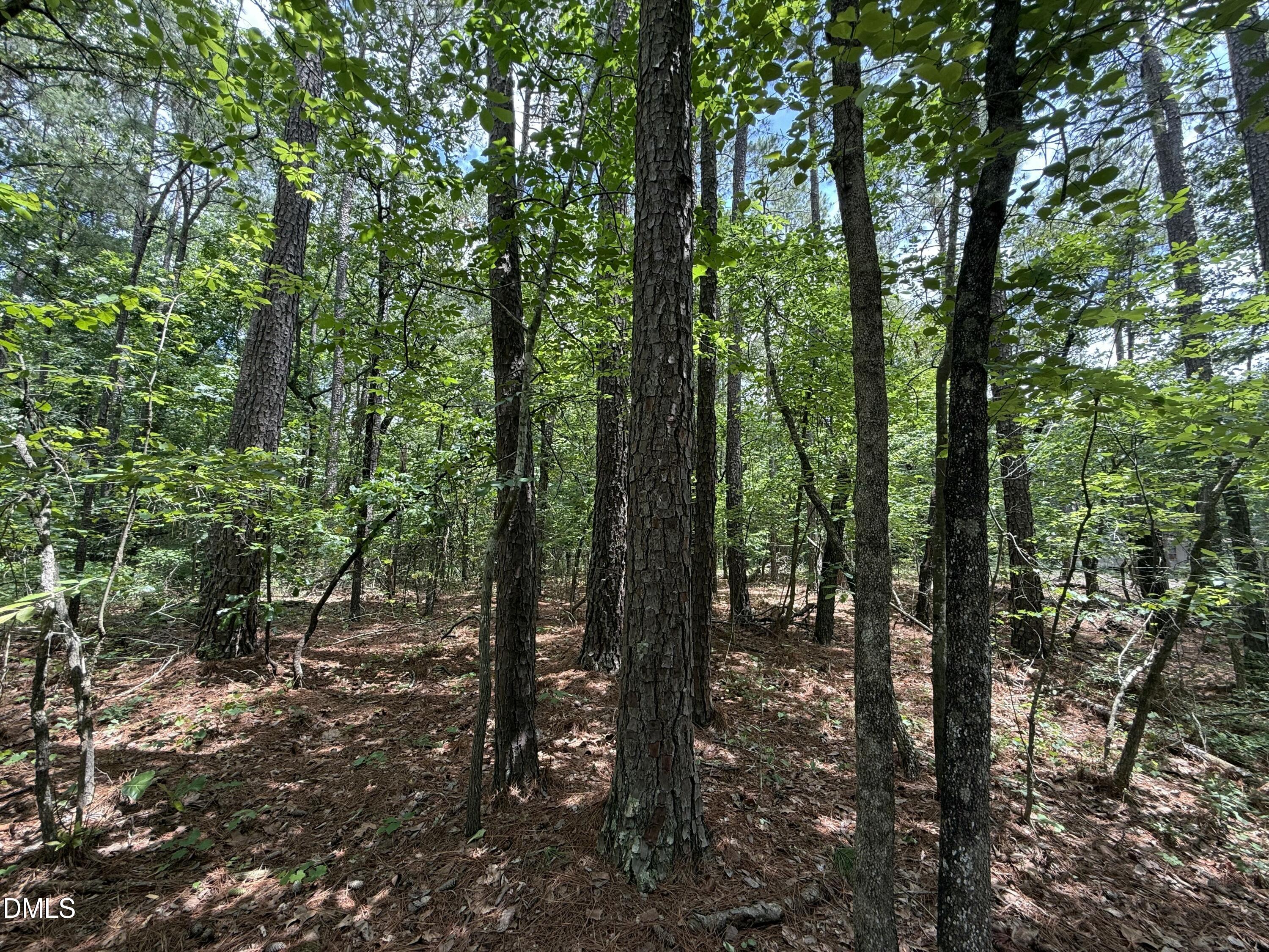 0 Elfman Drive Spring Lake, NC 28390 - Photo 21 of 40 a view of outdoor space and green space