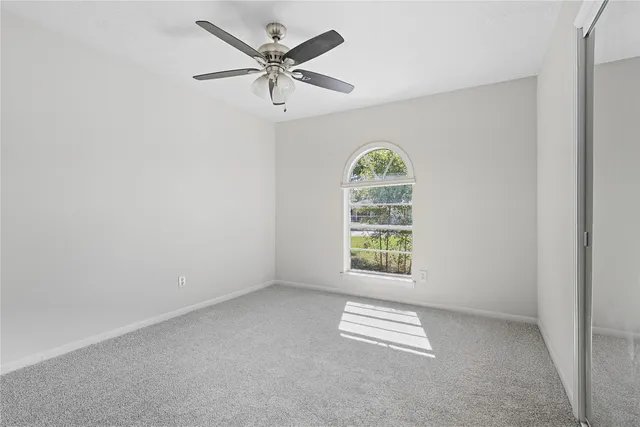 a view of a yard with a tree