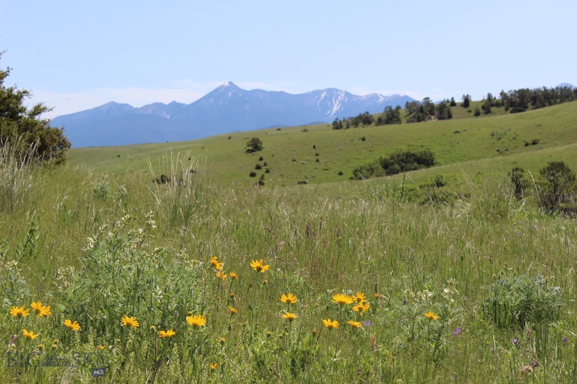 1075 Cokedale Road Livingston, MT 59047 - Photo 1 of 1 Gallery Image 1