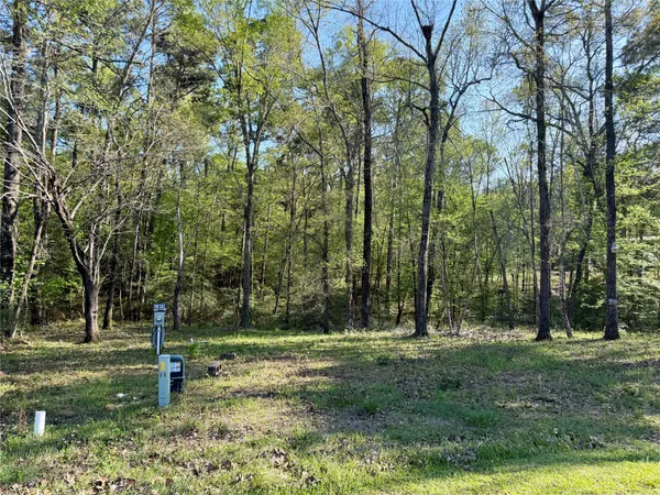 a view of outdoor space with trees
