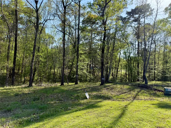 a view of a park with large trees