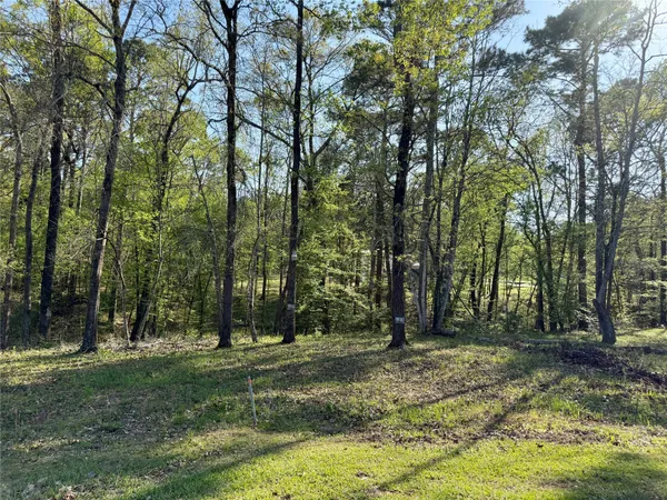 a view of outdoor space with trees