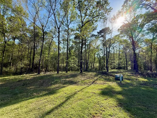 a backyard of a house with lots of green space and fountain