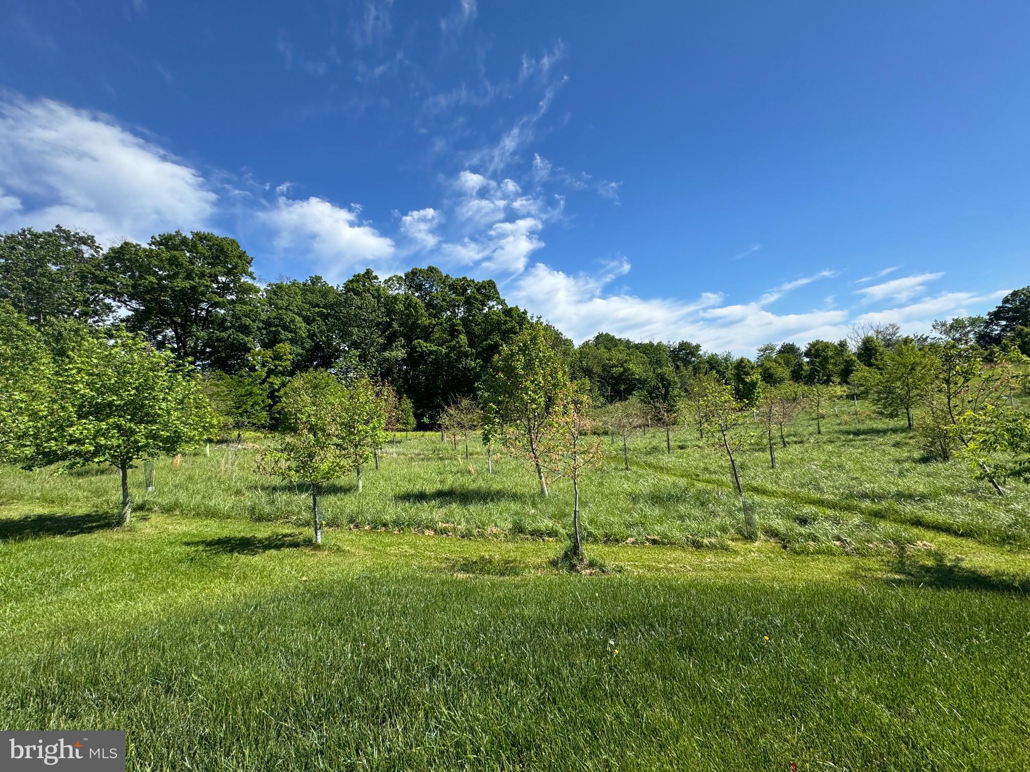 15491 Barnesville Road Boyds, MD 20841 - Photo 4 of 18 a view of a lush green space