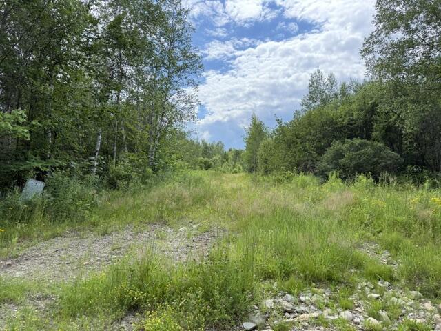 24 Old County Road Charlotte, ME 04666 - Photo 27 of 49 IMG_2571