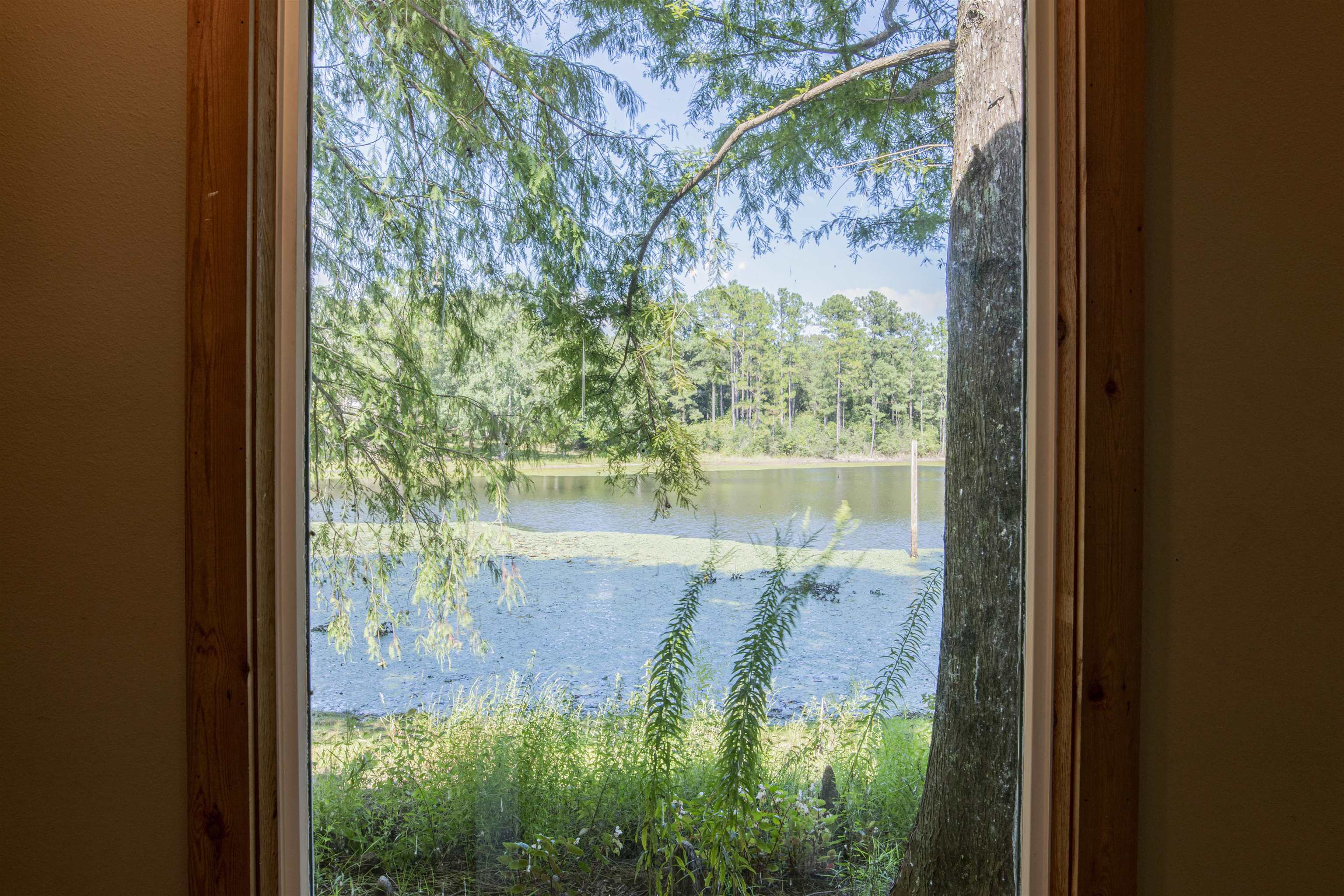 40680 Dogwood Fork Road Bay Minette, AL 36507 - Photo 28 of 41