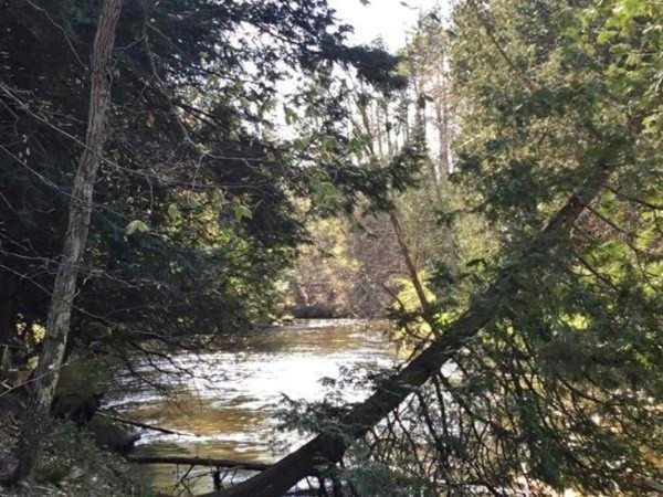 8788 East Barothy Road Branch, MI 49402 - Photo 15 of 37 3 River (3)