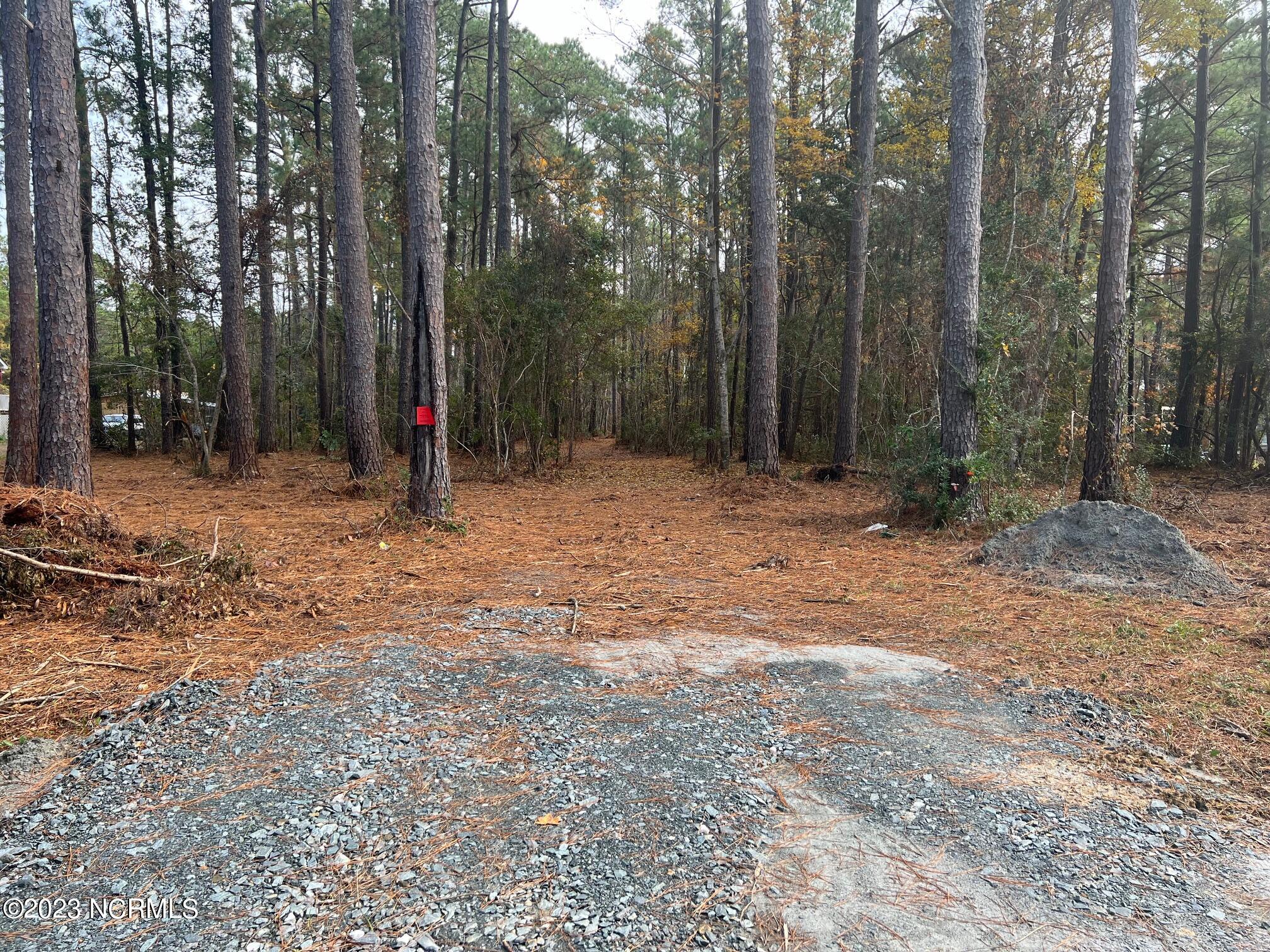 530 Firetower Road Beaufort, NC 28516 - Photo 7 of 10 IMG_0695