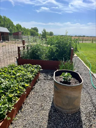 $949,000 | 5408 Cassia Road, New Plymouth, ID 83655