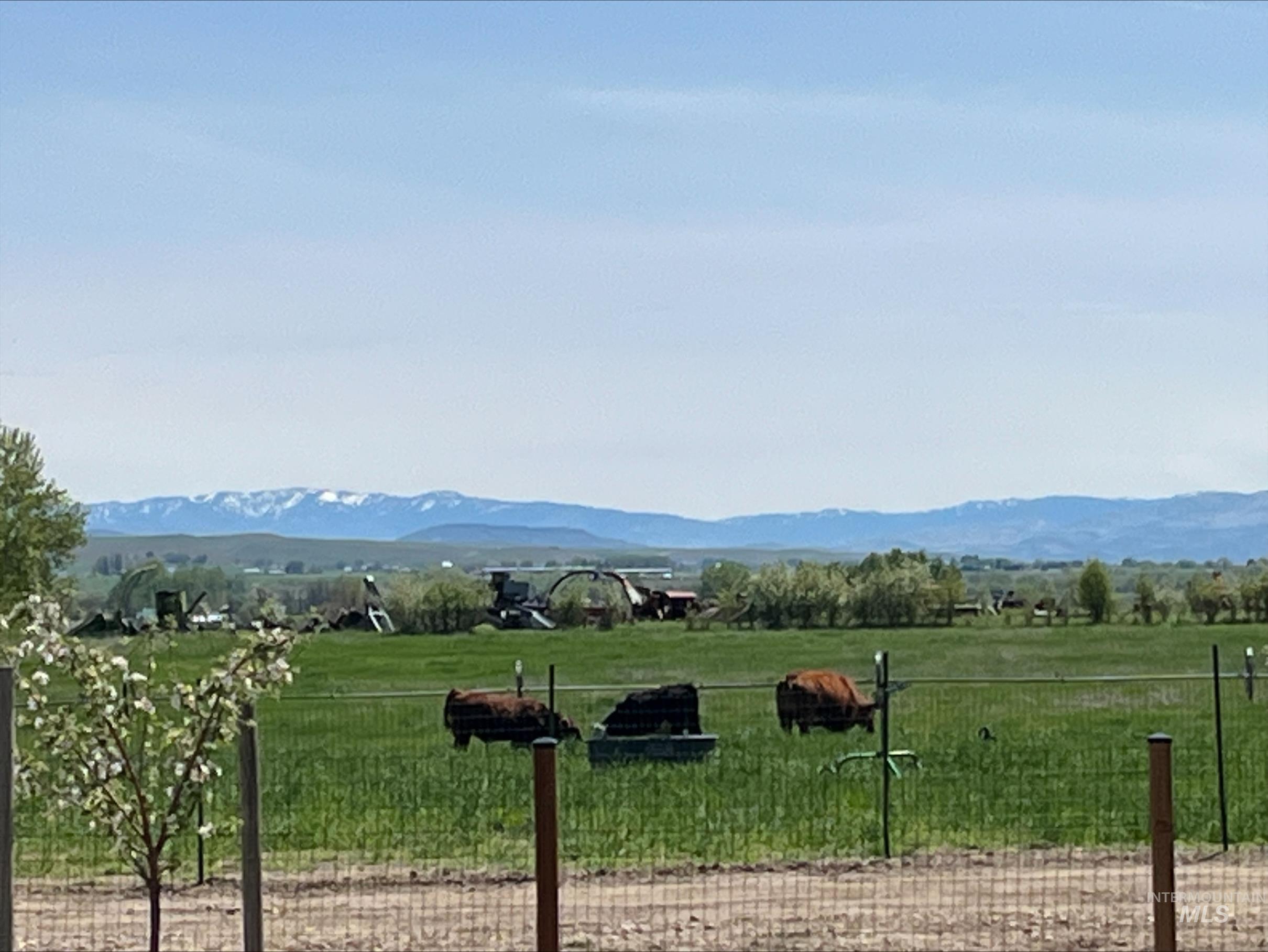 5408 Cassia Road New Plymouth, ID 83655 - Photo 45 of 49 Mountain view with rural landscape and agricultural land