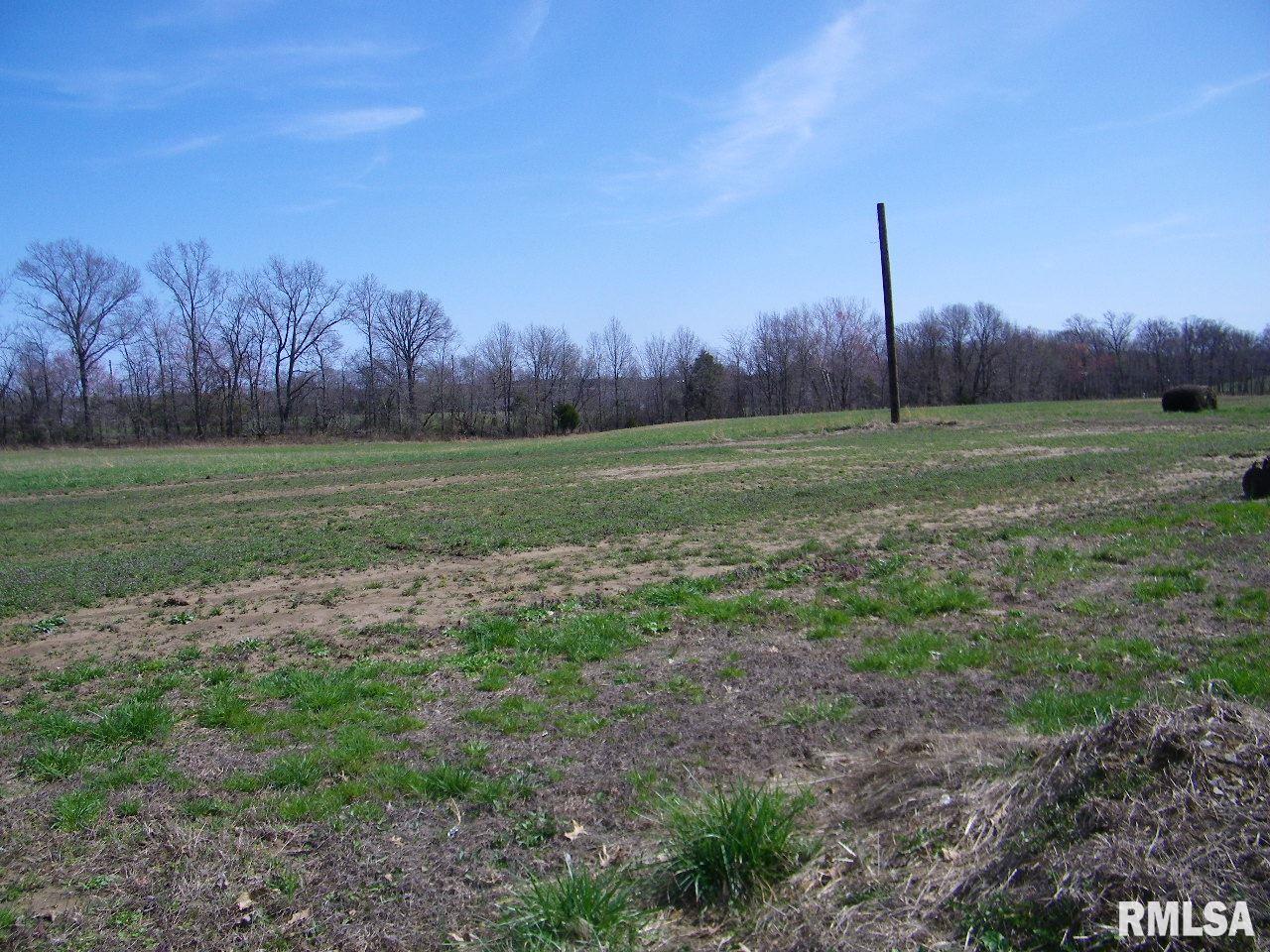 18500 Fowler School Road Pittsburg, IL 62974 - Photo 12 of 39 Gallery Image 12
