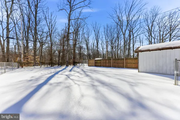 a view of backyard with a trees