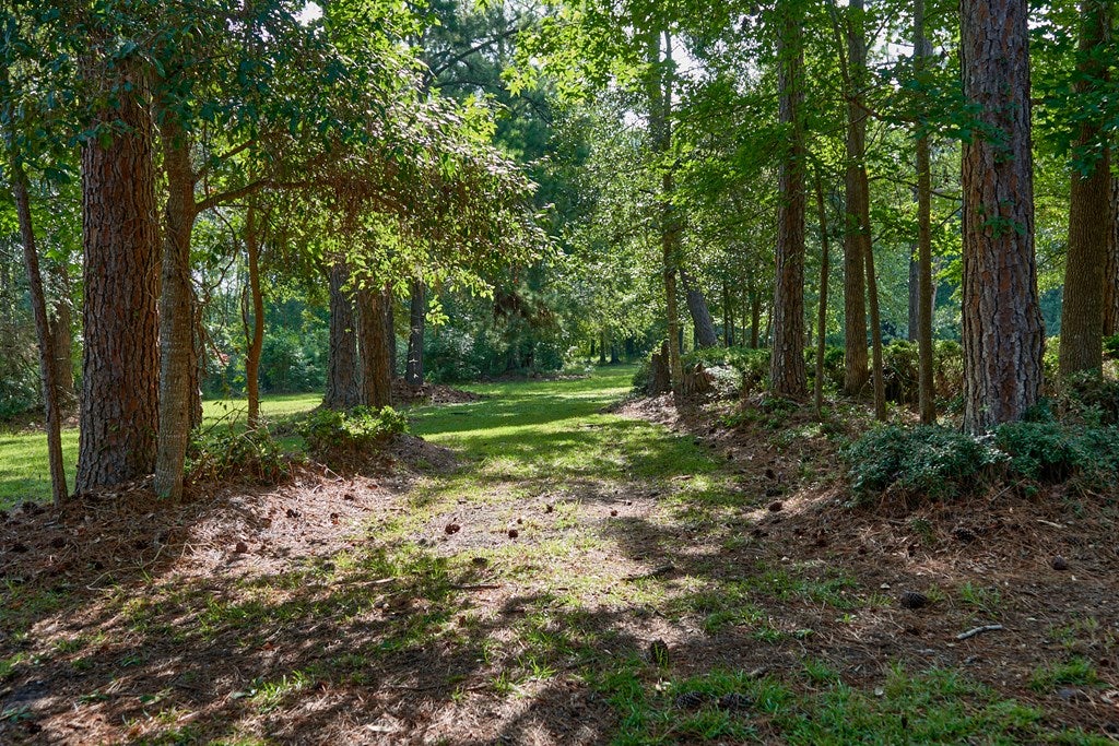 5236 Snake Nation Road Hahira, GA 31632 - Photo 11 of 30 Gallery Image 11