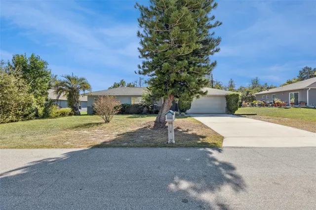 a view of yard with tree in front of it