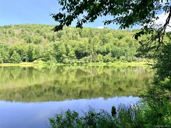 $80,000 | Doyle Road, Roscoe, NY 12776
