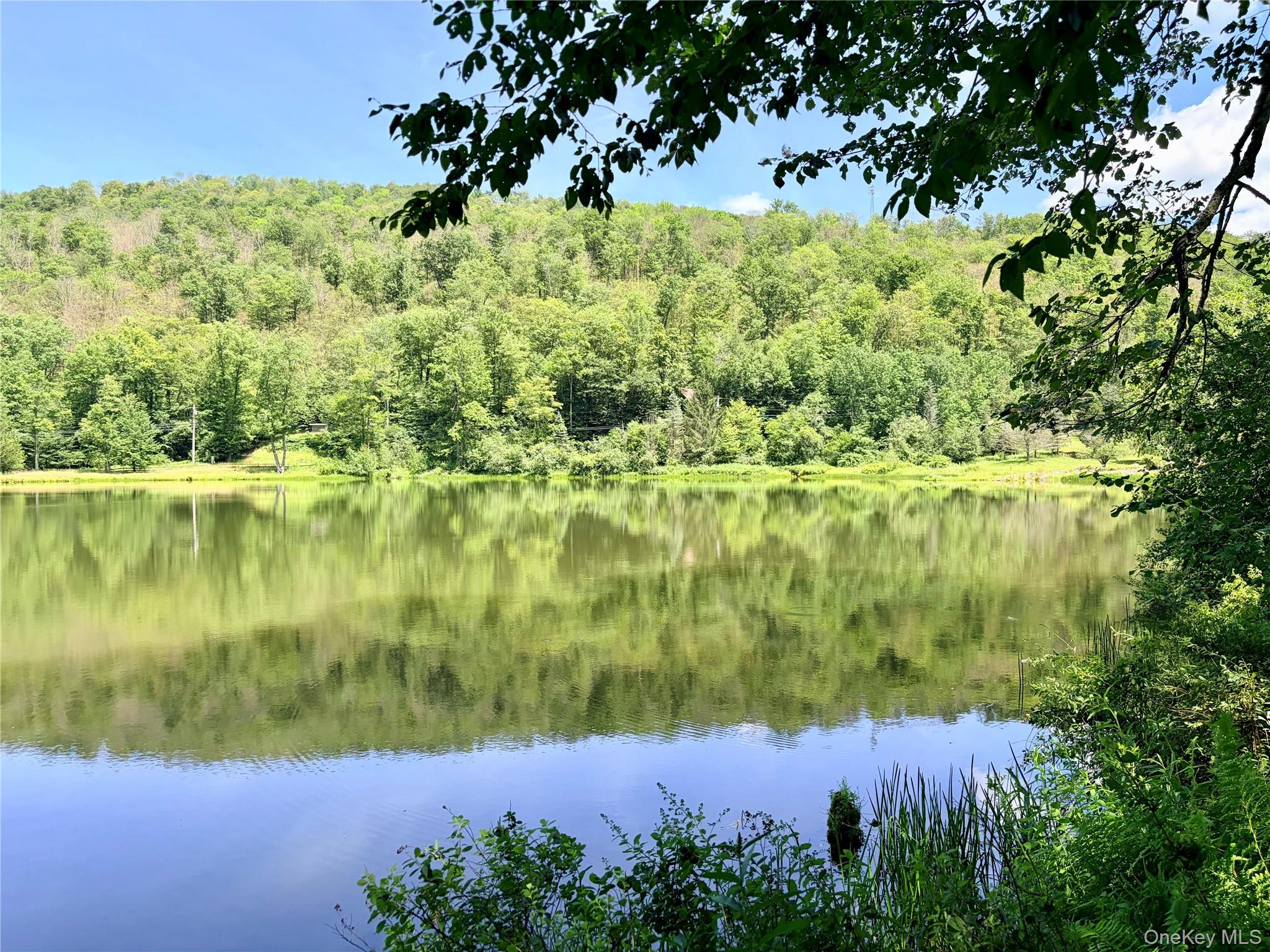 Doyle Road Roscoe, NY 12776 - Photo 1 of 14