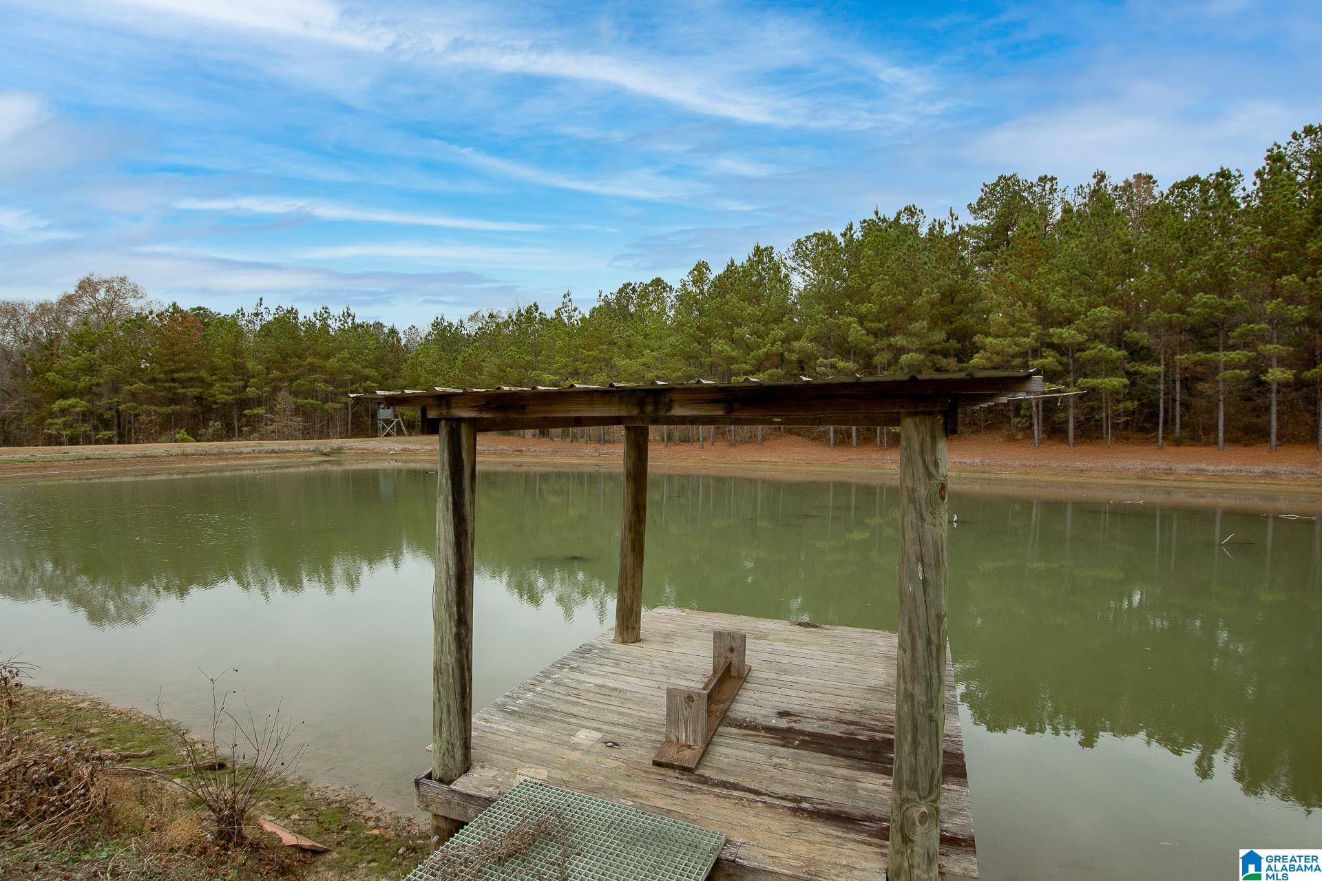 1444 Thrasher Road Sawyerville, AL 36776 - Photo 33 of 47