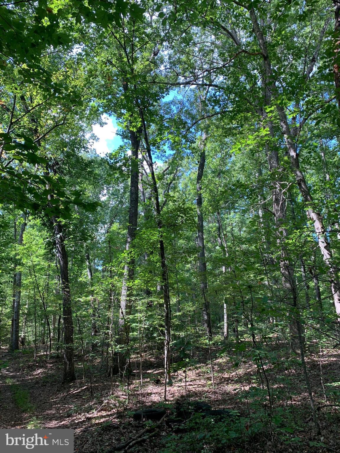 3 Chopt Road Gum Spring, VA 23065 - Photo 2 of 4