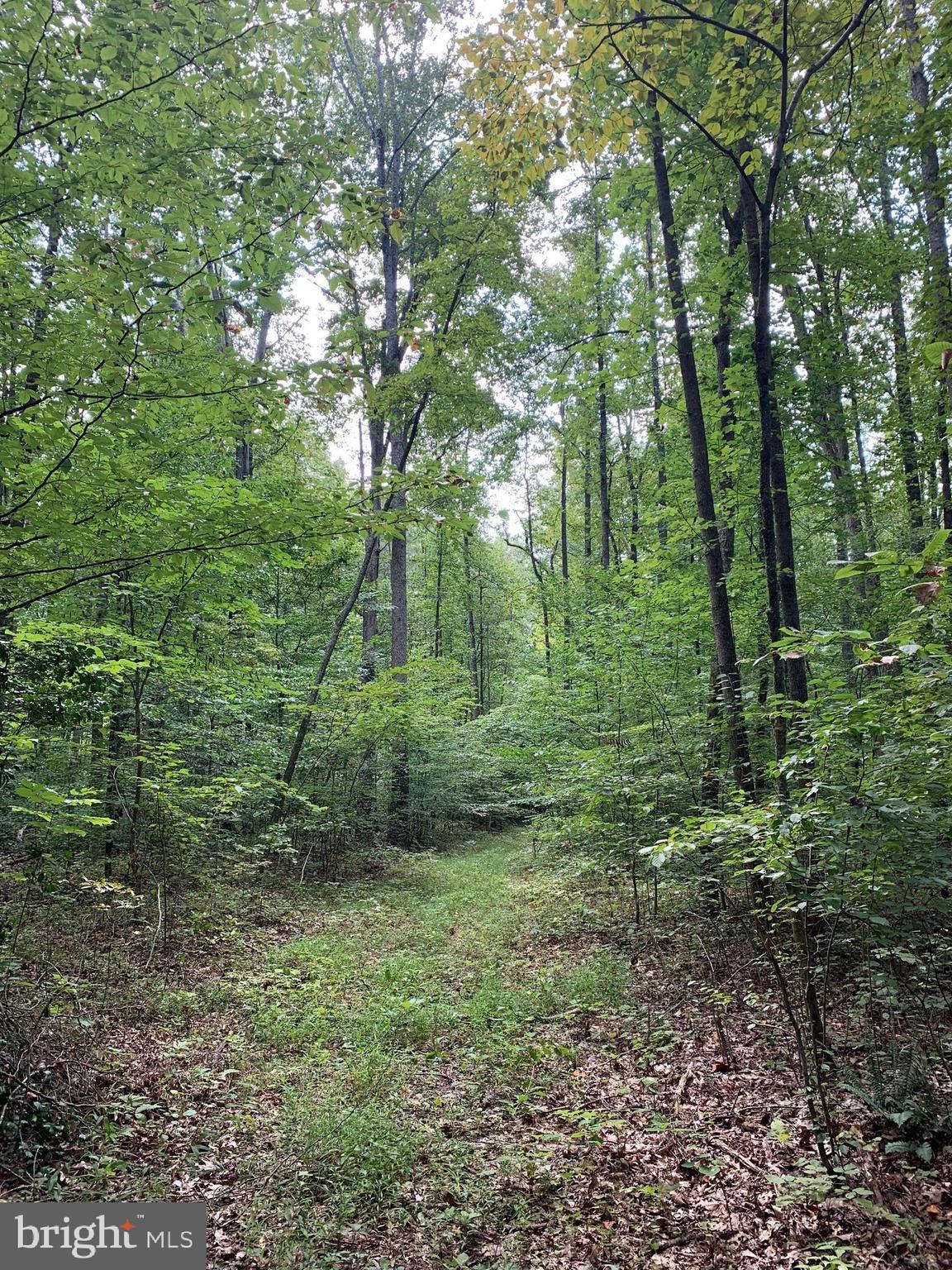 3 Chopt Road Gum Spring, VA 23065 - Photo 4 of 4