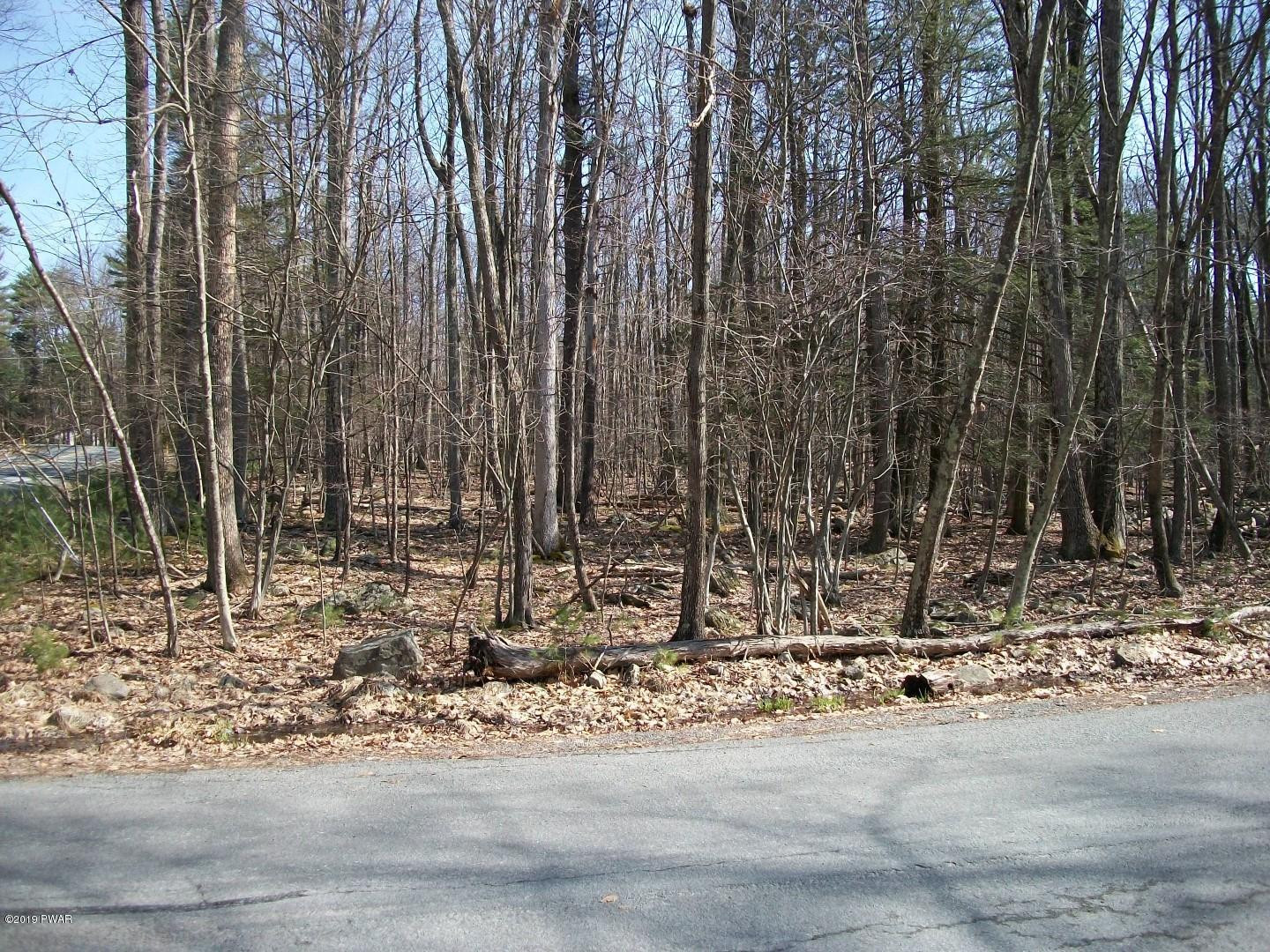 18 Crane Road Lakeville, PA 18438 - Photo 8 of 9