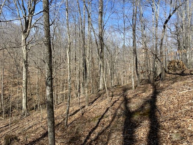 6000 Greenbriar Road Breeding, KY 42715 - Photo 6 of 29 Gallery Image 6