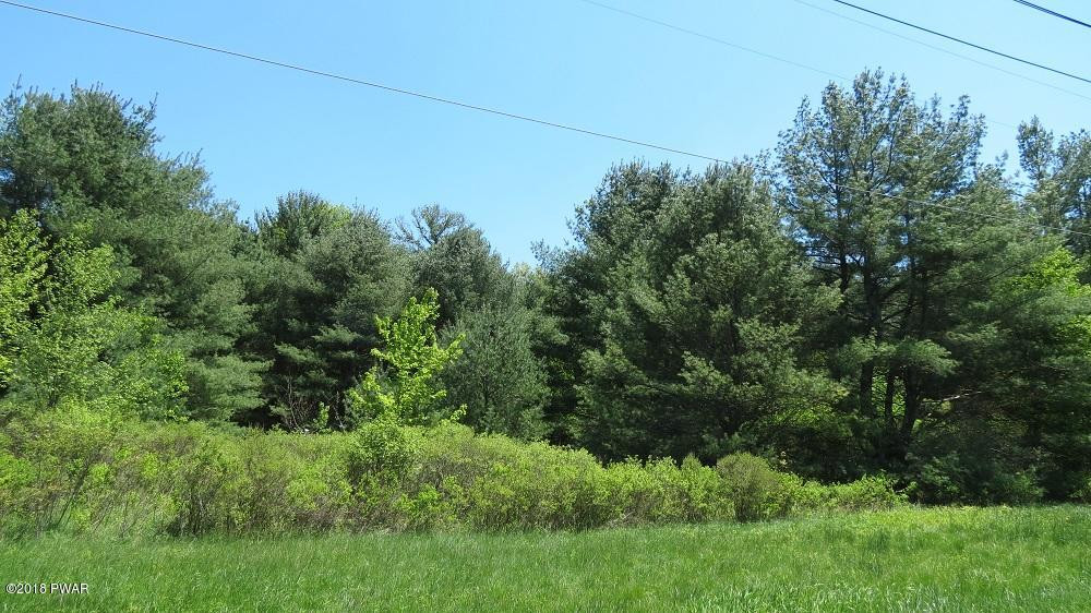 46.2 Eckes Road Narrowsburg, NY 12764 - Photo 4 of 7