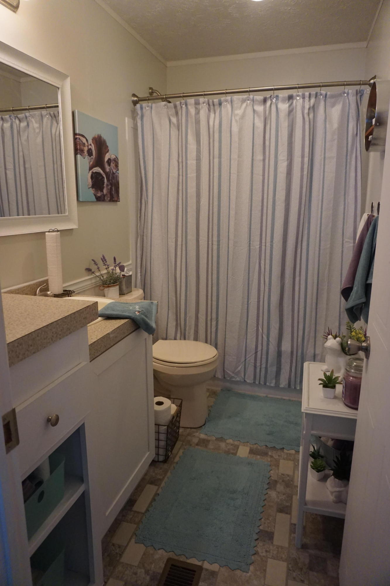 126 Laura Boling Loop Road Strawberry Plains, TN 37871 - Photo 28 of 40 bathroom