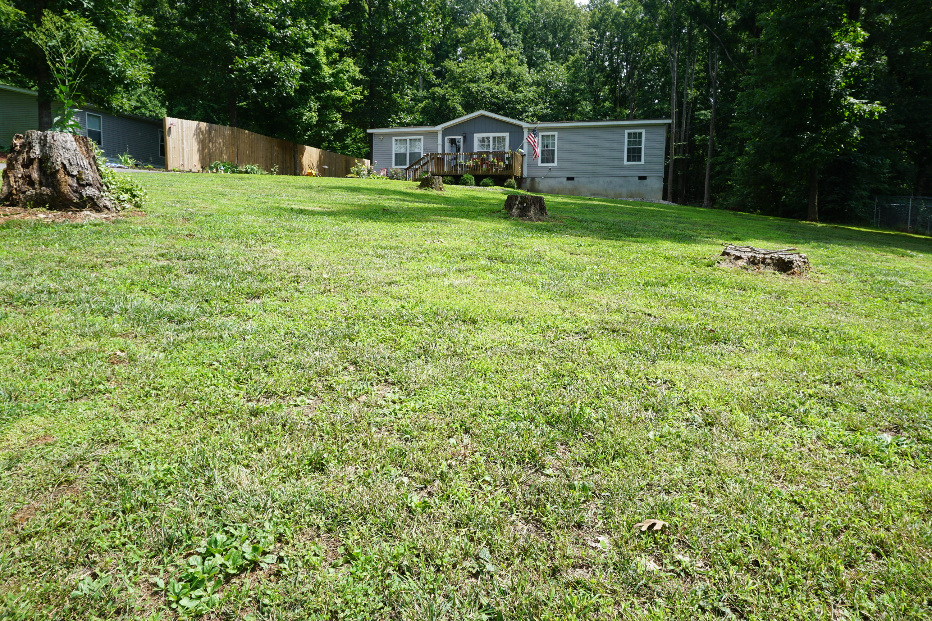 126 Laura Boling Loop Road Strawberry Plains, TN 37871 - Photo 40 of 40 Large front yard