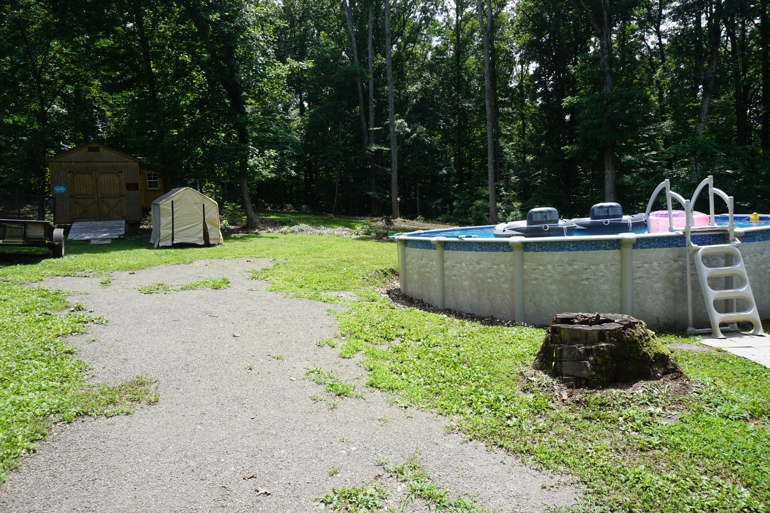 126 Laura Boling Loop Road Strawberry Plains, TN 37871 - Photo 5 of 40 Large Backyard