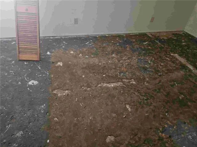 $209,900 | 245 Farm To Market 772, Kingsville, TX 78363