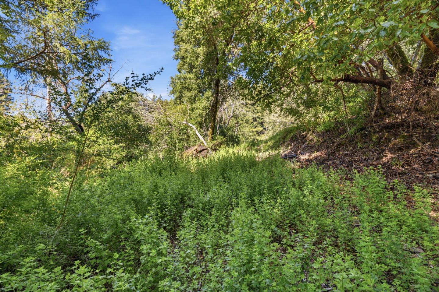 360 Rincon Way Boulder Creek, CA 95006 - Photo 38 of 46