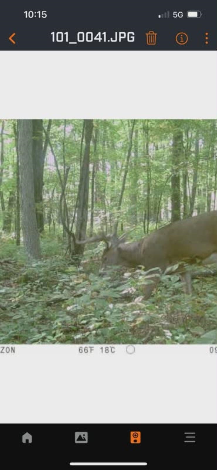 39.94-acres County Rd V Pittsville, WI 54466 - Photo 12 of 17