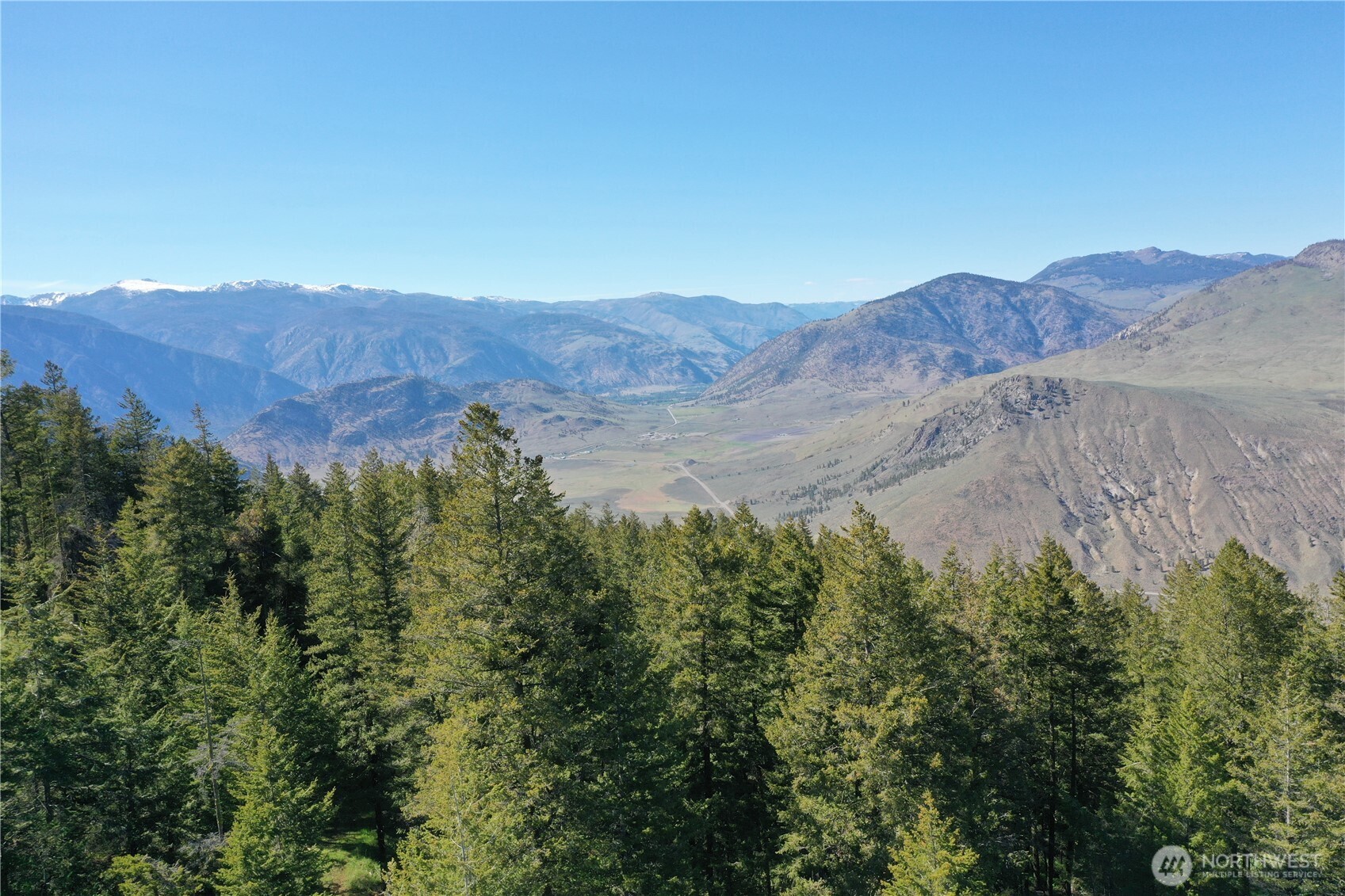 a view of a forest with mountains in the background