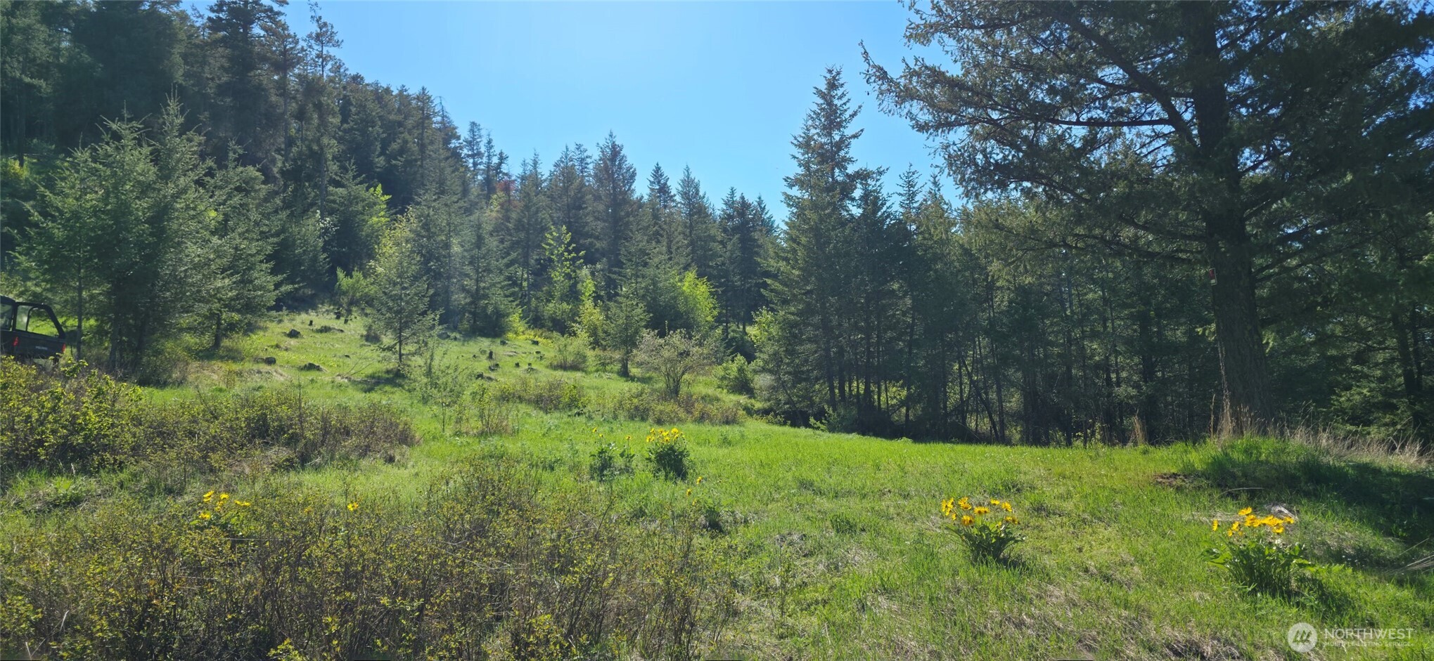 111 Ellemeham Mountain Road Oroville, WA 98844 - Photo 11 of 32 a view of a lush green forest