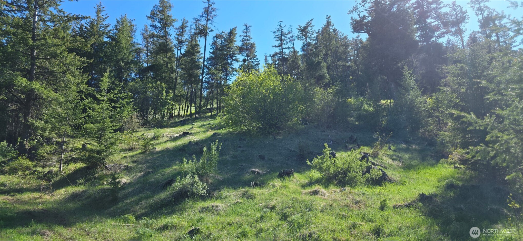 111 Ellemeham Mountain Road Oroville, WA 98844 - Photo 12 of 32 a view of a garden with a tree