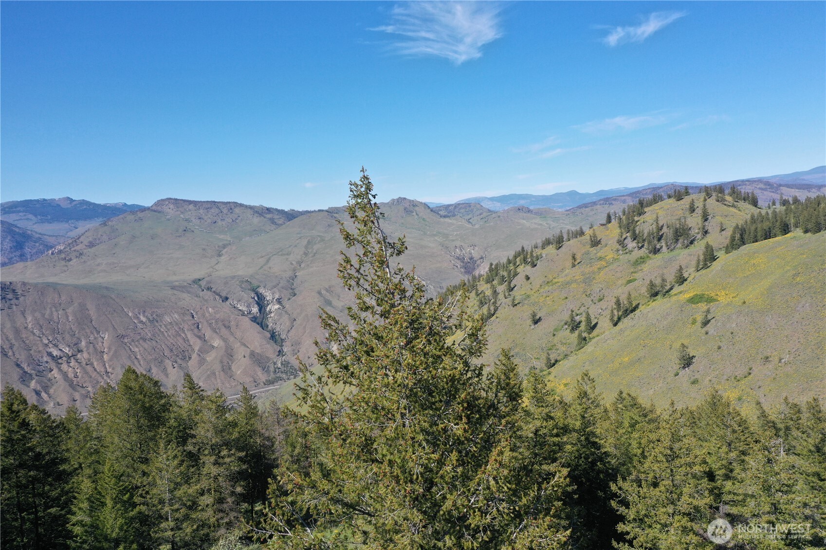 111 Ellemeham Mountain Road Oroville, WA 98844 - Photo 19 of 32 a view of a dry yard with mountains in the background