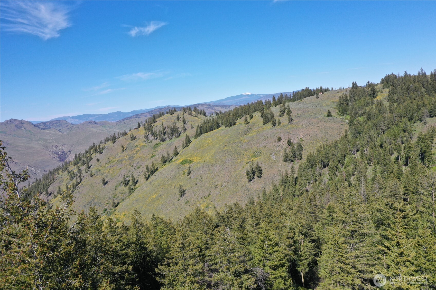 111 Ellemeham Mountain Road Oroville, WA 98844 - Photo 20 of 32 a view of a mountain