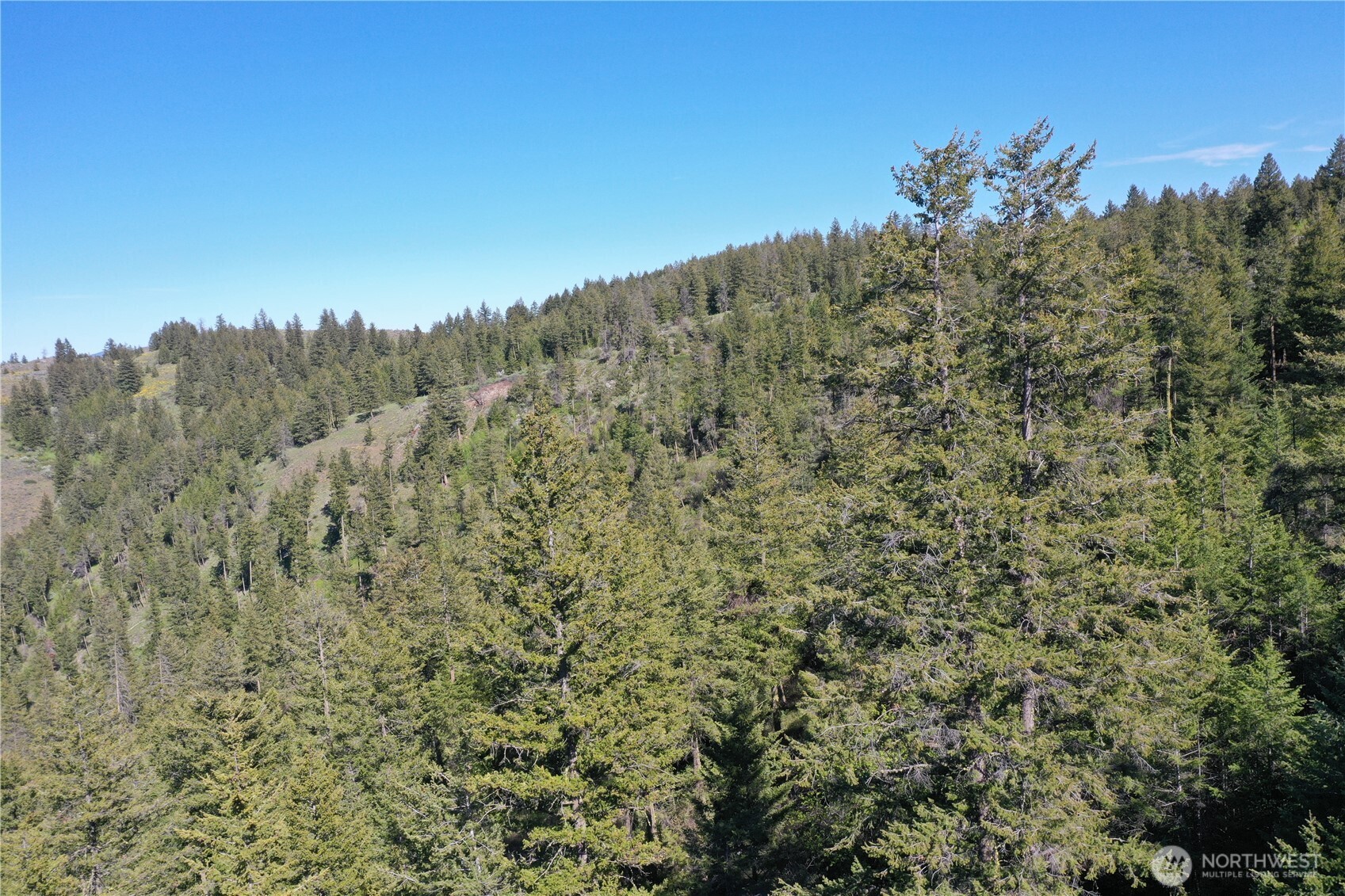 111 Ellemeham Mountain Road Oroville, WA 98844 - Photo 21 of 32 a view of a bunch of trees and bushes