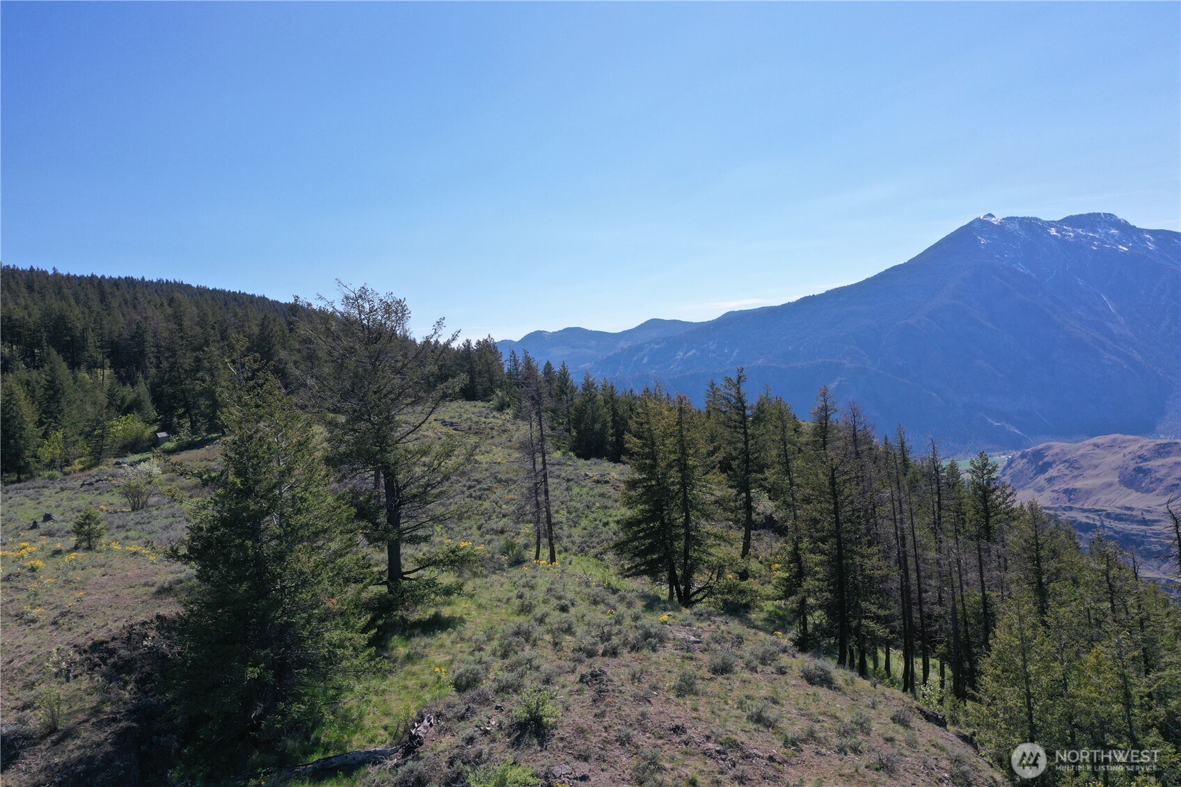 111 Ellemeham Mountain Road Oroville, WA 98844 - Photo 32 of 32 a view of a mountain