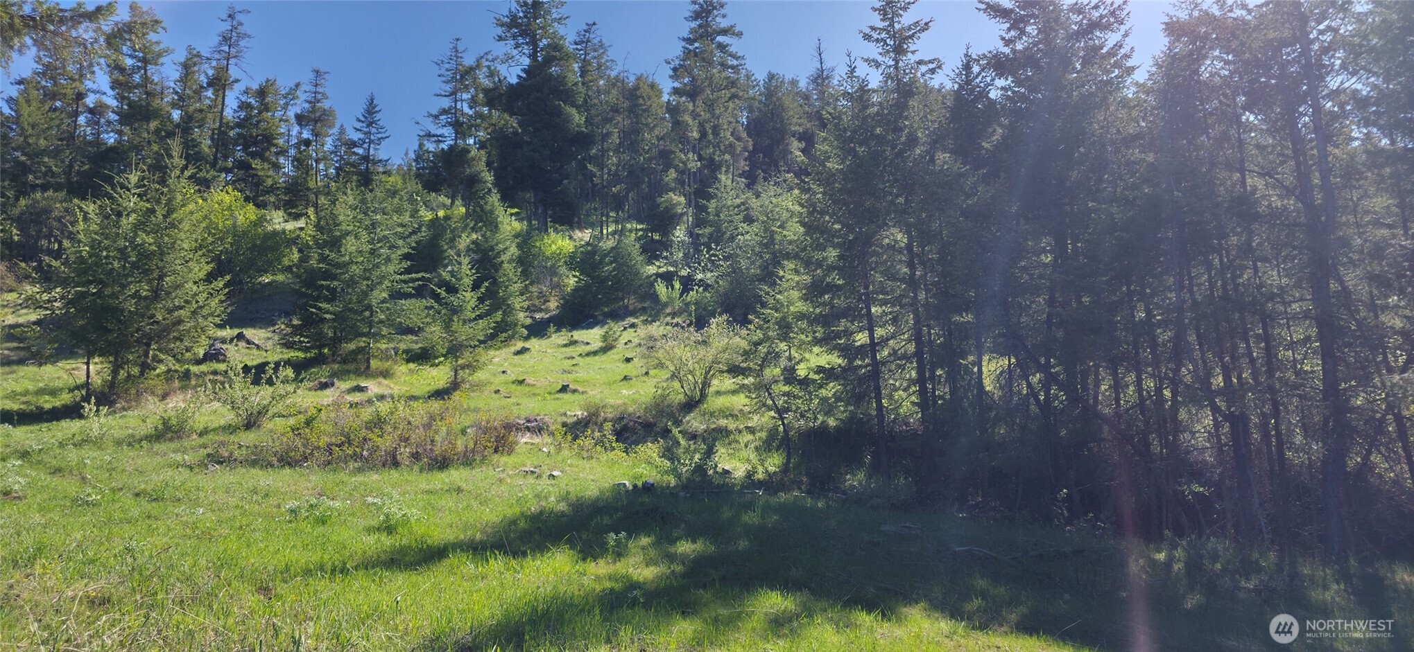 111 Ellemeham Mountain Road Oroville, WA 98844 - Photo 8 of 32 a view of a yard with plants and a bench