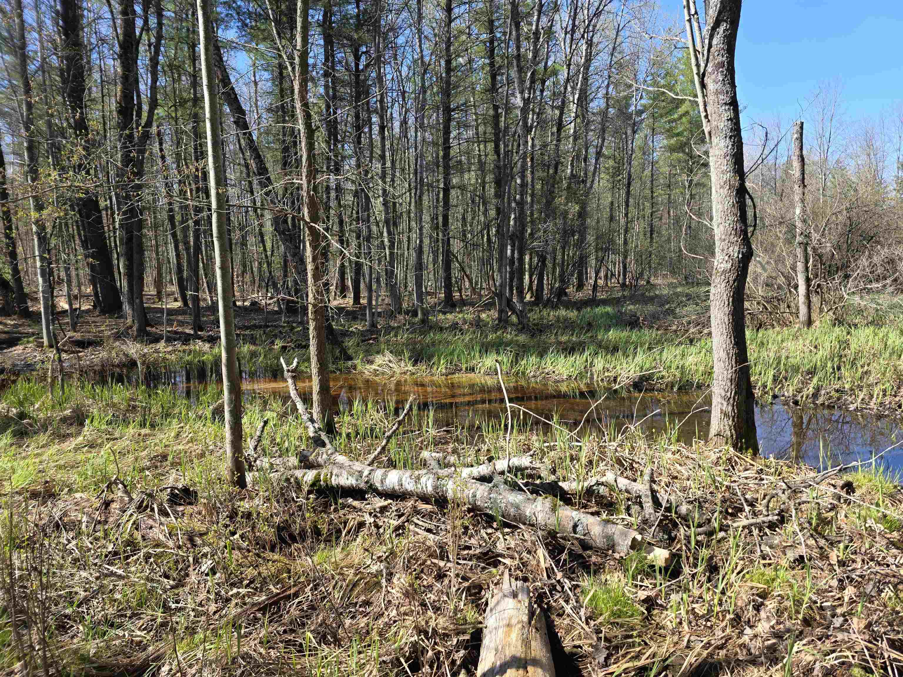 7299 North Truesdale Road Manton, MI 49663 - Photo 22 of 51
