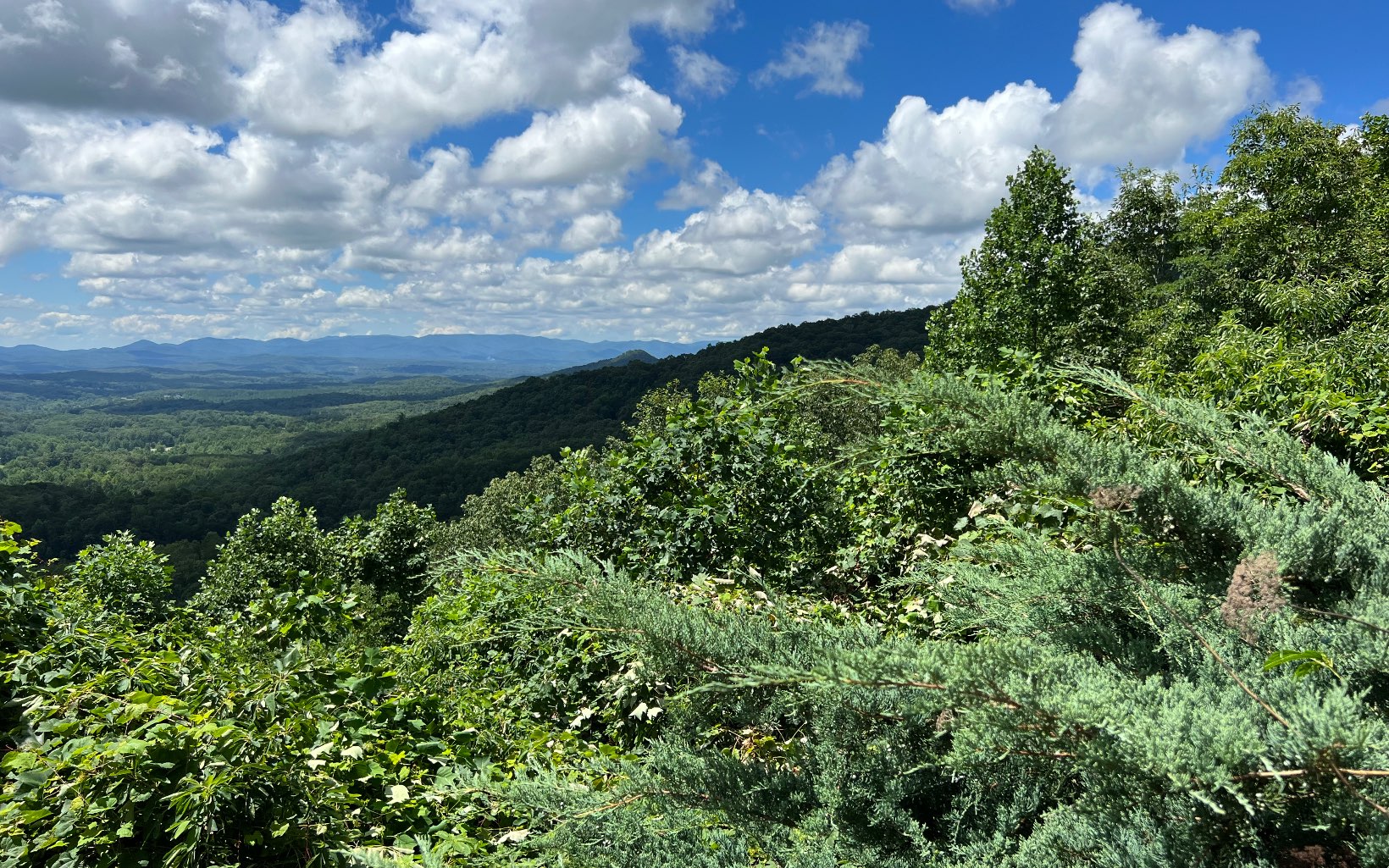 L87 Wolf Mountain Road Murphy, NC 28906 - Photo 12 of 26 Additional View