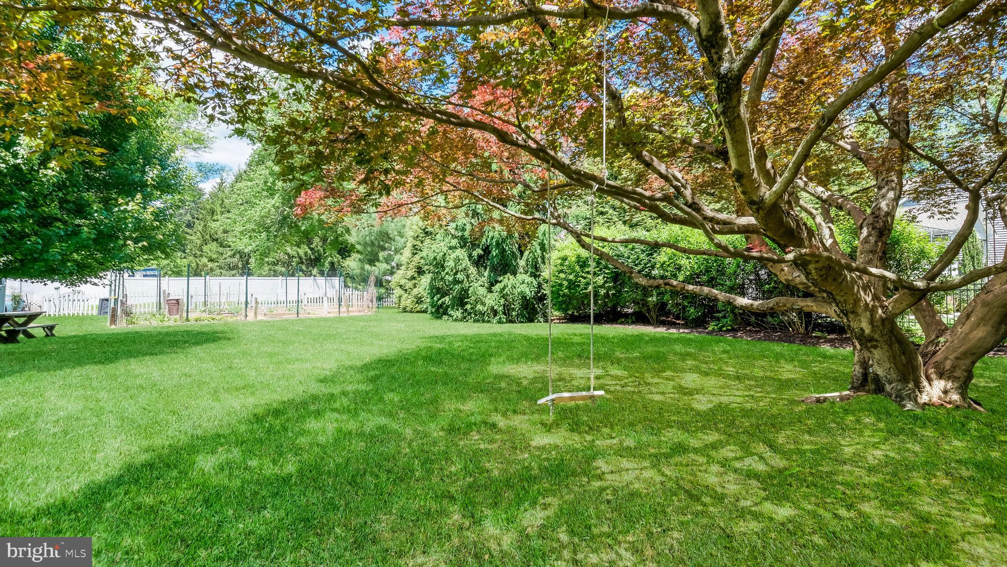 113 Iron Hill Road Doylestown, PA 18901 - Photo 46 of 47 RED Maple with swing and view of garden